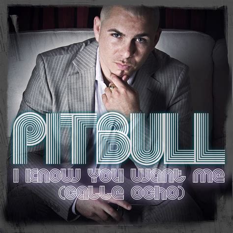 pitbull i know you want me calle ocho lyrics
